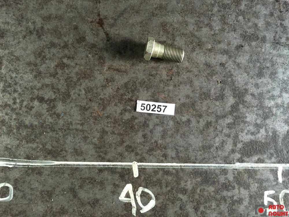 Болт полый 310122-П29 дренажной трубки ЯМЗ (1 отверстие) М10х1х22